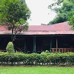 Mega Inn Tangkahan