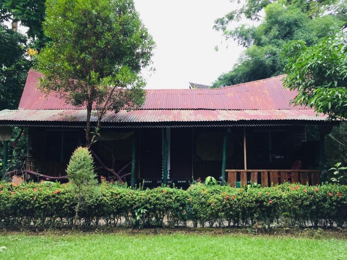 Mega Tangkahan * Medan